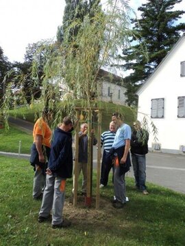 Delavnica - Park in mesto 4